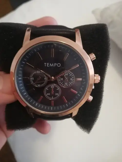 Tempo Watch (demo)
